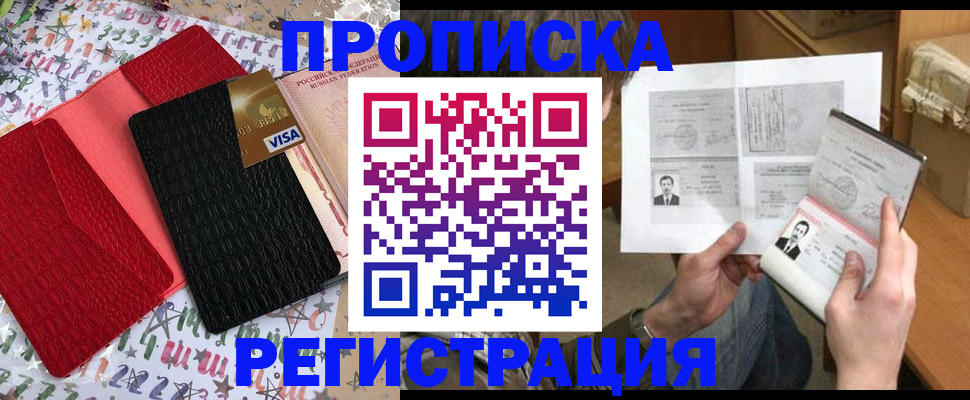 прописка поиск в Красноярском крае